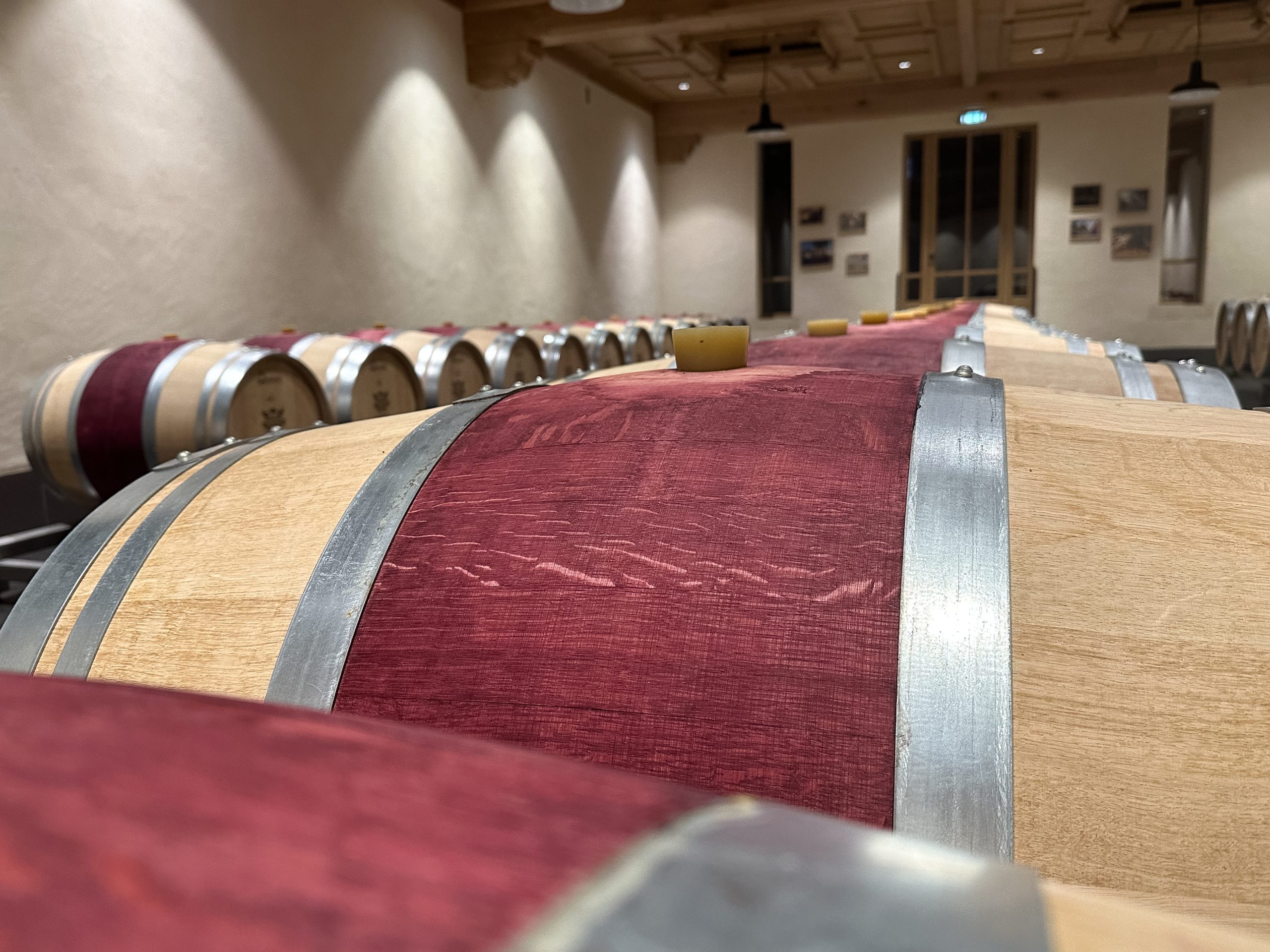 chais à barriques chai à barrique - chateau monlot